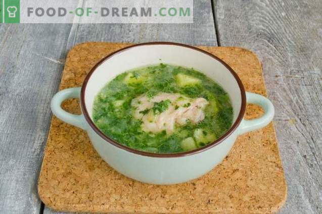 Green Spinach Soups