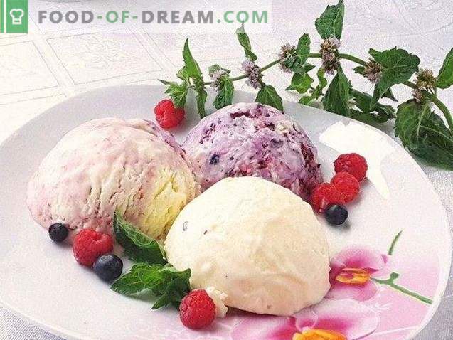 Домашен сладолед. Кремообразен сладолед с плодове
