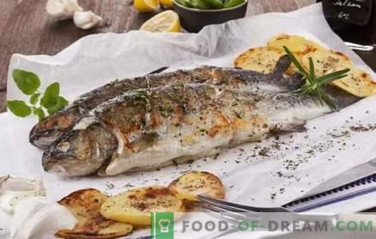 Хвани рибата, всичко е вкусно на скара! Рецепти за риба на морски и речни риби: Кулинарна помощ за рибари и любители на вкусна риба