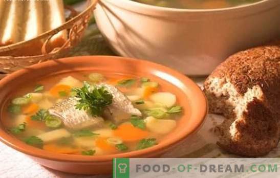 Супа от риба костур - вкусна супа у дома. Как да готвя ухото от костура: тайните, рецептите, съветите