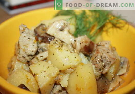Пиле яхния с най-добрите рецепти. Как правилно и вкусно да се готви яхния картофи с пиле.