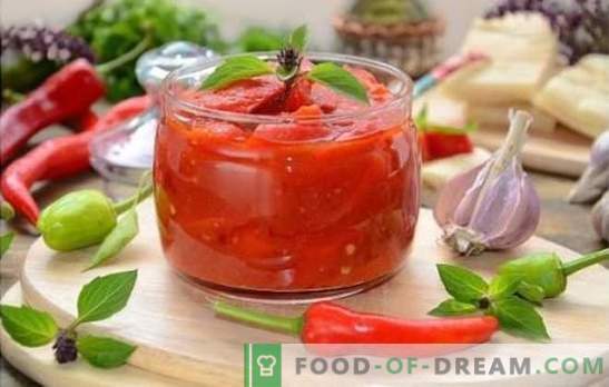 Лечо с доматен сок е една от възможностите за приготвяне на вкусна закуска. Доказани авторски рецепти lecho с доматен сок
