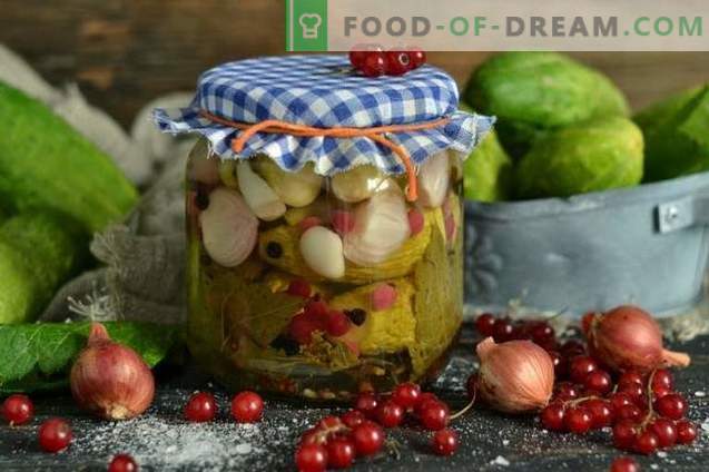 Pickled cucumbers with red currants and onions