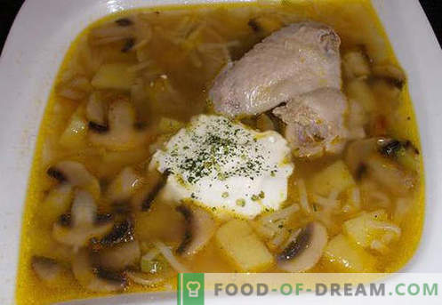 Zuppa di brodo di pollo - le migliori ricette. Come cucinare correttamente e gustoso zuppa di pollo in brodo.