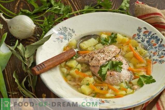 Fish Salmon Soup