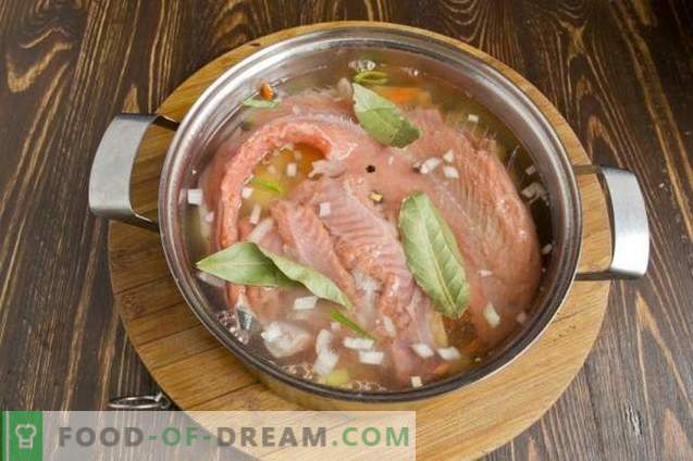 Zuppa di salmone di pesce