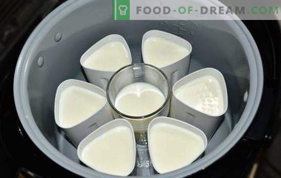 Киселото мляко в глинен съд в буркани е здравословен вкусен деликатес. Сортове кисело мляко от мултикукър в буркани