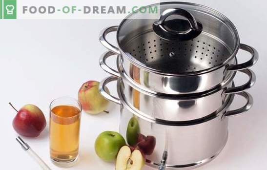 Как да сварите сок от ябълки в сокоизстисквачка за зимата? Много просто! Тънкости и трикове: с какво и как да се готви сокът в печка за ябълков сок