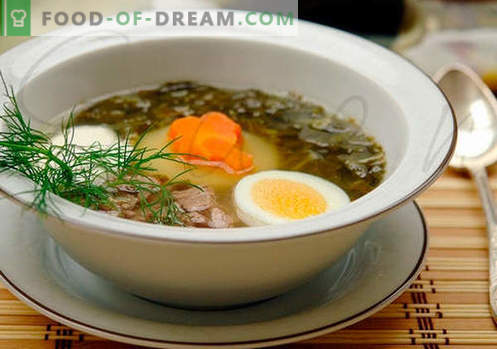 Супа от киселец - Доказани рецепти. Как правилно и вкусно да се готви кисела супа.