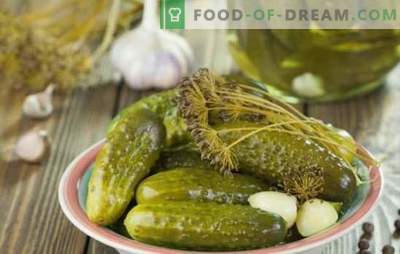 Pickling cucumbers for the winter: the traditional summer marathon. Recipes for pickling cucumbers for the winter (cold and hot)