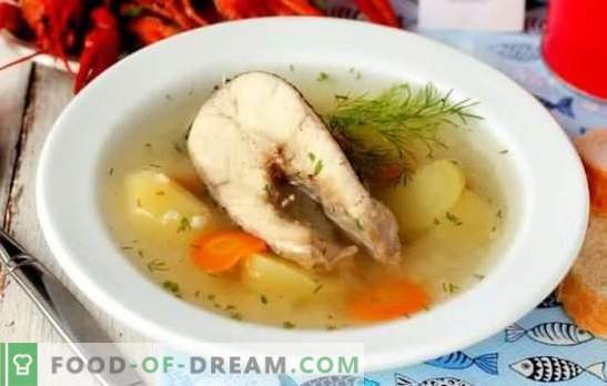 Pike Ear - Усетете вкуса! Рецепти богати супа от щука със зеленчуци, зърнени храни, дим, водка, в бавно печка