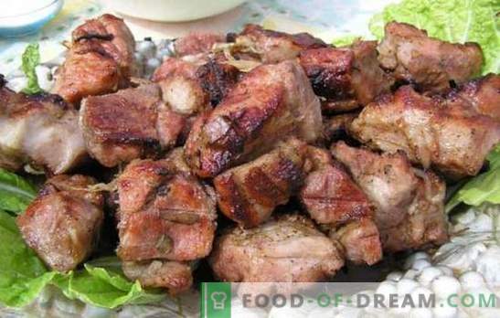 Маринада за свинско кебап с кефир - нежна! Събиране на рецепти за марината за месо на огъня: марината за свинско с кефир