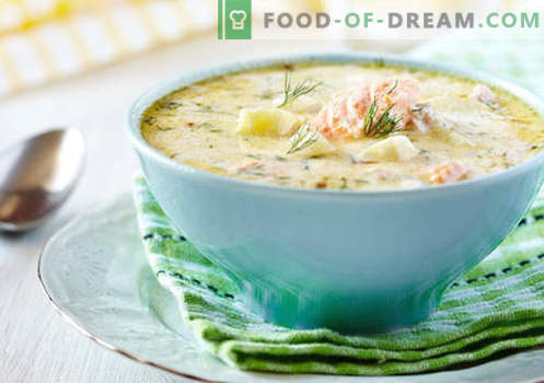 Крем супа - доказани рецепти. Как правилно и вкусно да се готви супа със сметана.