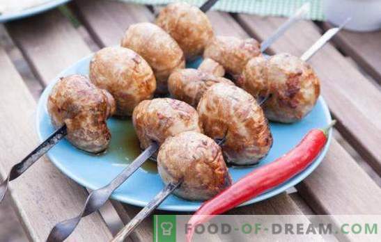 Печурки от скара - оригиналната предястие! Как да готвя вкусни шампиньони на скара: рецепти и тънкости