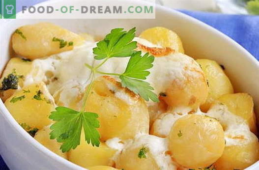 Картофи в заквасена сметана - най-добрите рецепти. Как да правилно и вкусно готви картофи в заквасена сметана.