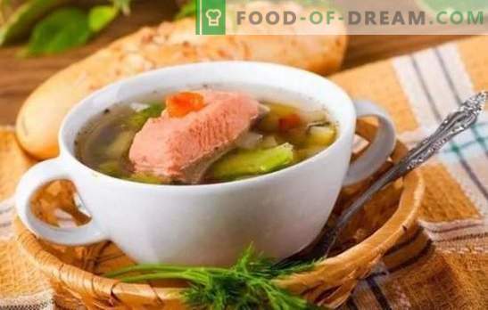 Супа от пъстърва: ползи за тялото и безупречен вкус на една и съща чиния. Най-добрите рецепти за супа от пъстърва