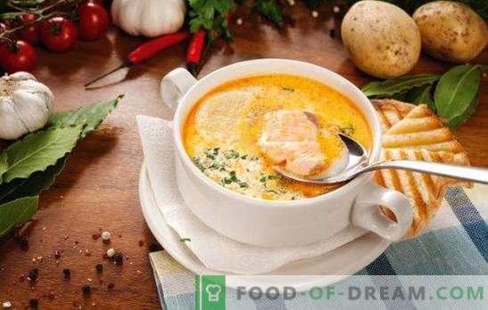 Рибна супа - супа с уникален вкус! Рецепти за различни рибни супи с консерви, пресни трупове и филета, зеле, боб