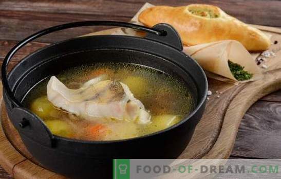 Супа от костур традиционна и оригинална: с картофи, просо, гъби. Как да приготвите ухото на щука с билки и водка