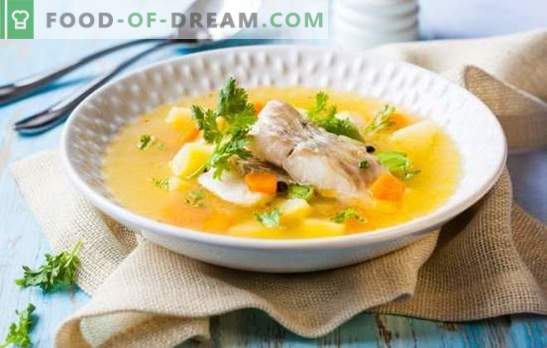 Стерлинги - несравним вкус и аромат на рибена супа. Как да приготвите вкусна рибена супа от стерле
