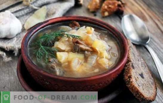 Супа от кисело зеле с гъби: традиционна и оригинална. Тайните на зелената супа с гъби, елда, боб, ечемик
