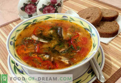 Супи от доматена цаца - доказани рецепти. Как правилно и вкусно да се готви супа от доматена цаца.