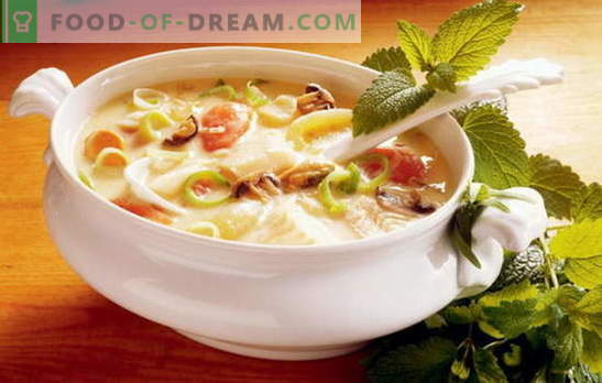 Рецептата за вкусна зеленчукова супа - основа за правилното хранене. Селекция от най-добрите рецепти за вкусна зеленчукова супа от различни зеленчуци