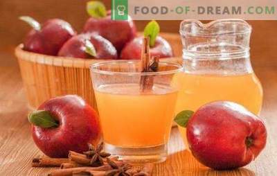 Õunamahla talveks kodus: ärge segage tehnoloogiat! Selle õunamahla klassikalised ja miksovye variandid talveks
