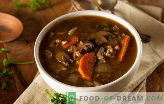 Liesinė sriuba su grybais - tegul visada būna skanus! Įvairūs receptai liesoms sriuboms su grybais ir javais, makaronai, daržovės