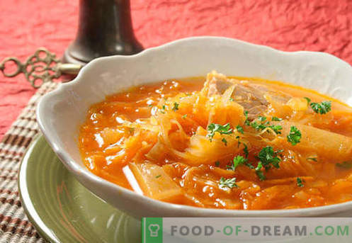 Прясна и сотена супа от зеле. Как правилно и вкусно да се готви кисело, зелено, суха супа в бавен котлон.