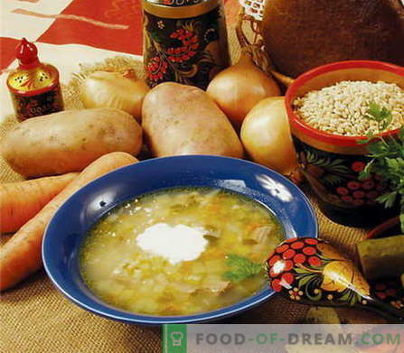 Говеждо супа - най-добрите рецепти. Как да правилно и вкусно готви говеждо супа.