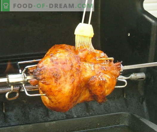 Плюнкар пиле - най-добрите рецепти. Как правилно и вкусно да се готви пиле на шиш.