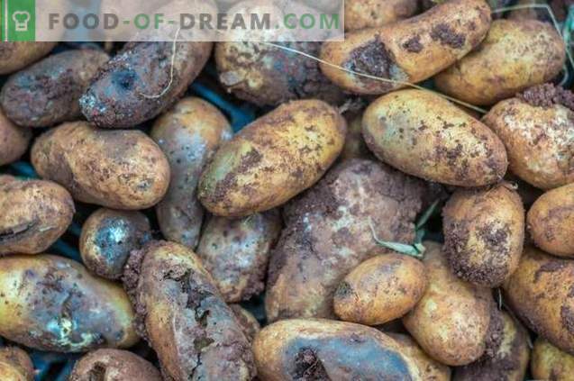 “Taboo TRIO” - безопасна предсеитбена превенция на болести и вредители от картофи