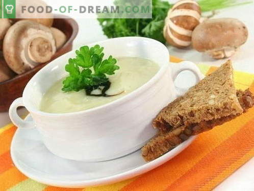 Гъбена супа - най-добрите рецепти. Как правилно и вкусно да се готви гъбена супа.