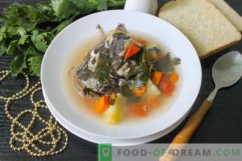 Супа от сом - как да я приготвите правилно и вкусно (рецепта със снимки)