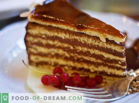 Торта от тортата - най-добрите рецепти. Как да правилно и вкусно да се направи торта от тортата.