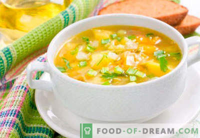 Супа с изгаряне на мазнини - доказани рецепти. Как да правилно и вкусно да се готви супа за изгаряне на мазнини.