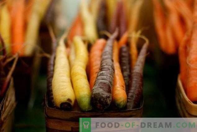Полезни свойства на морковите