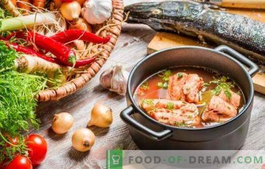 Червена рибена супа - отличен вкус и максимална полза. Селекция от най-добрите рецепти от червена рибена супа с просо, домати, червен хайвер