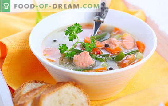 Бързо готвене - супи от консервирана розова сьомга. Тествани популярни рецепти за супи от консервирана розова сьомга