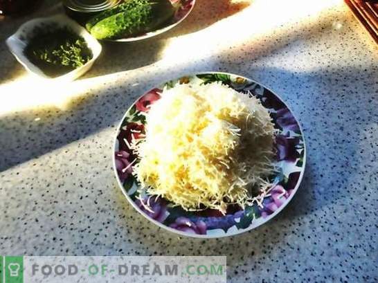 Рол с лаваш с топено сирене: бюджетна закуска. Стъпка по стъпка фото рецепта на хлебче пита с топено сирене: просто и вкусно!