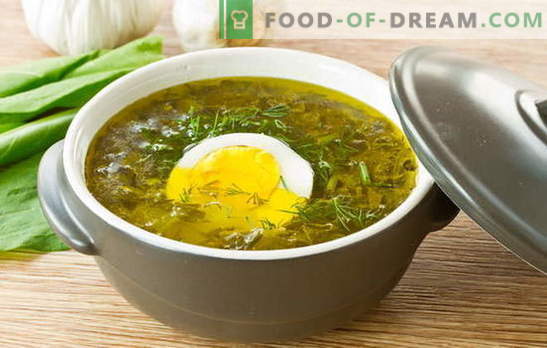 Sourrel супа - лятно настроение! Рецепти за оксалова супа с яйце, кюфтета, ориз, пиле, яхния