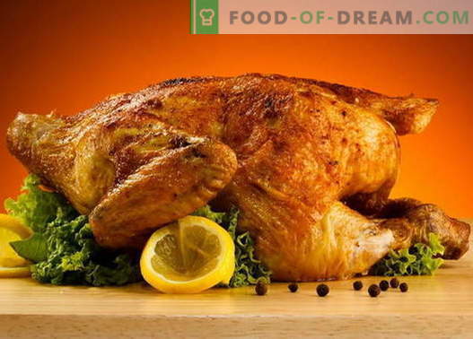 Пиле с кора - най-добрите рецепти. Как правилно и вкусно да се готви пиле с кора.