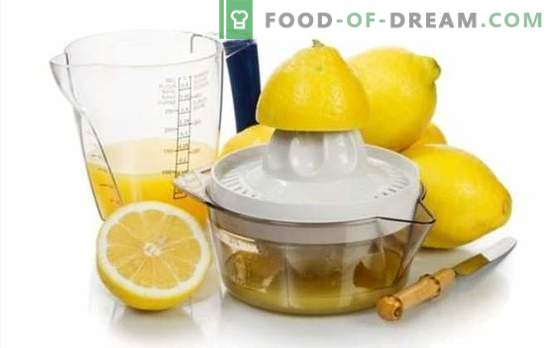 Готвене на лимонов сок - рецепти с божествен аромат! Лимонов сок: рецепти за алкохолни и безалкохолни напитки с него