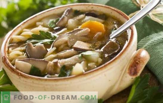 Гъбена супа с манатарки - най-любимата! Рецепти на гъбена супа с манатарки: сметана, паста, ечемик, бекон