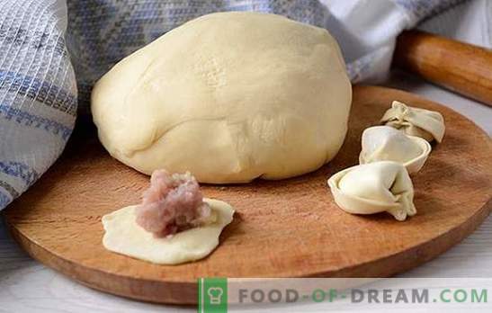 Тесто за равиоли с мляко: как да се месят, какъв вид брашно да изберем? Съвети за приготвяне на тесто за равиоли с мляко: стъпка по стъпка снимки